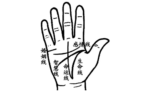 非常难得的十大吉祥手相 非常难得的十大吉祥手相痣