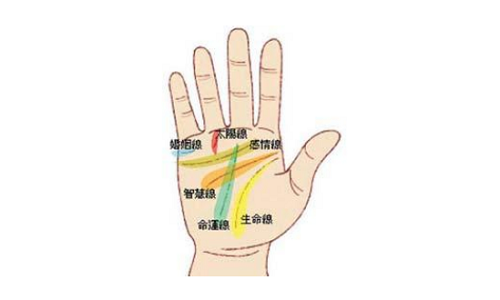 手掌纹 手掌纹的三条线代表什么