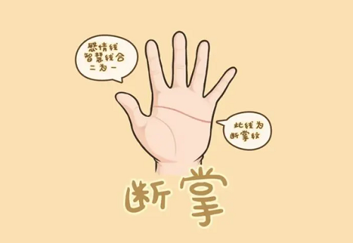女人右手断掌是福还是祸 右手断掌的女人旺夫