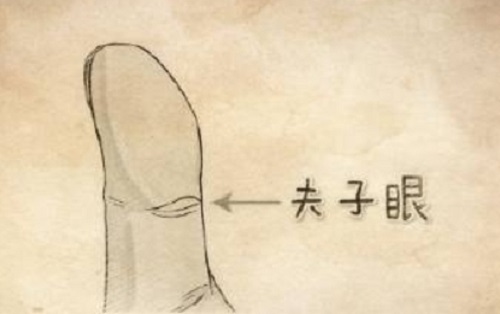 夫子眼的女人什么命 女人夫子眼是什么意思