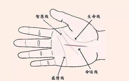 手纹线各代表什么 手纹线各代表什么图解