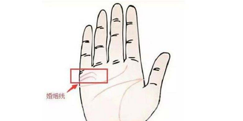 婚姻线分叉 婚姻线分叉一定会离婚吗?