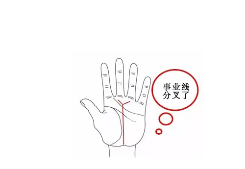 事业线手相 事业线有分叉代表啥意思
