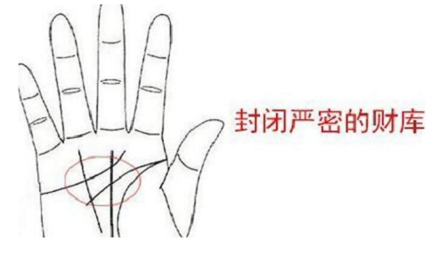 非常难得的十大吉祥手相图片 非常难得的十大吉祥手相断掌纹