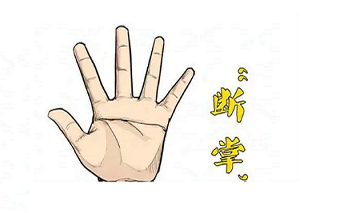 断掌纹的女人好不好 断掌纹的女人有福气吗