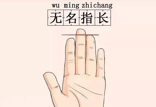 女人无名指比食指长的手相 女人无名指比食指长的手相图解