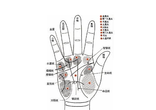 手相男 手相男生图解