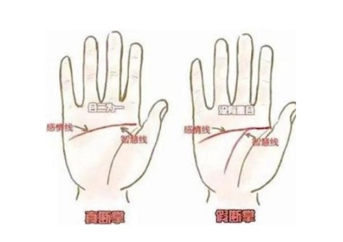 断掌的女人是什么命 断掌的女人有什么说法