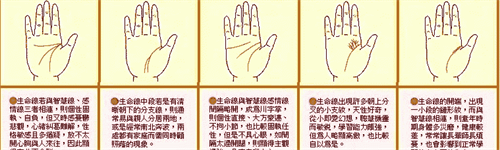 生命线分叉20种图解 生命线分叉20种图解说明