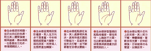 生命线分叉20种图解 生命线分叉20种图解说明