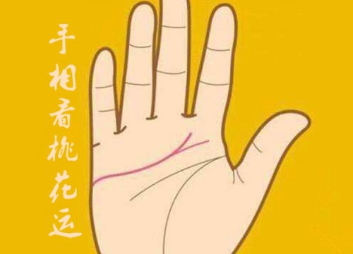 桃花运特别旺的手相图片 桃花运特别旺的手相