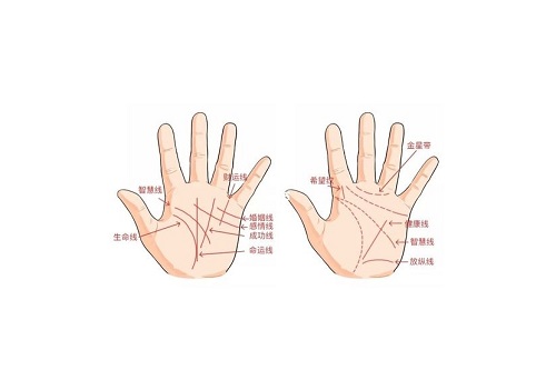 掌纹的三条线代表什么图解 女右手掌纹的三条线代表什么