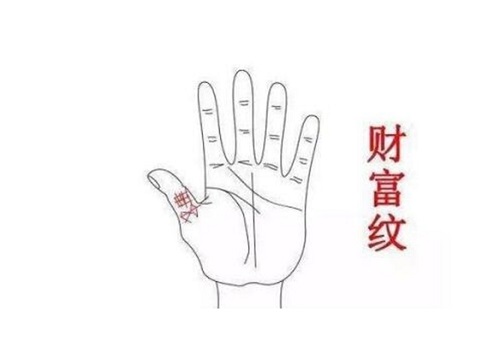 财富纹在哪 财富纹是什么意思