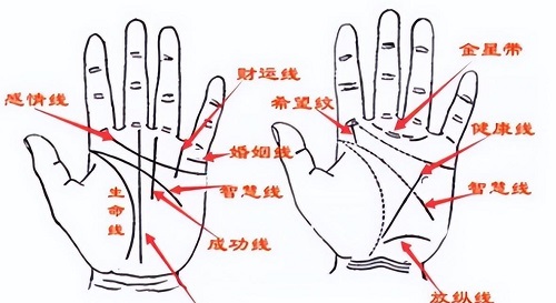 手相看人生 手相看人生与命运吉凶