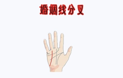 婚姻线有分叉的几种图解 婚姻线分叉图解