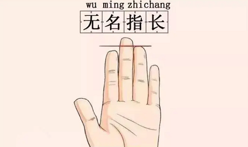 无名指比食指长代表什么 无名指比食指长代表什么意思男