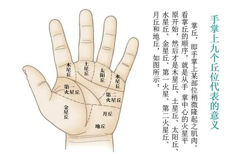 手掌纹路图解 手掌纹看相算命