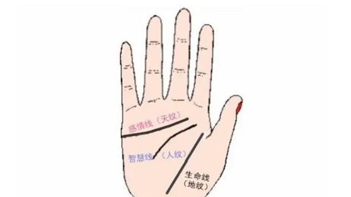 手相图解手相女怎么看 手相图解女