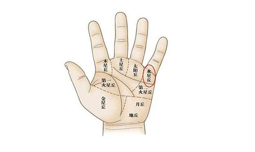 免费拍照看手相算命 手掌纹路看命运
