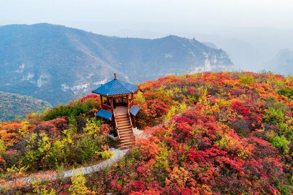 南阳必玩的旅游景点有哪些 