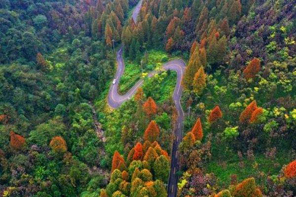 都江堰秋季旅游攻略 