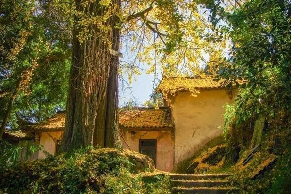 都江堰秋季旅游攻略 