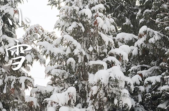今日小雪说说文案 今日小雪怎么发朋友圈