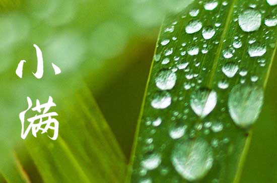 小满节气的由来 小满节气的诗句和谚语