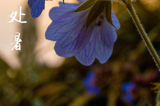 处暑是几月几号2024年 2024处暑那天建造桥梁好吗