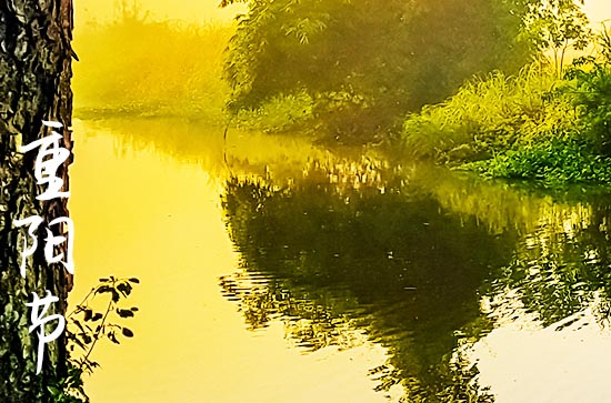 重阳节要吃什么,重阳节各地吃什么 重阳节要吃什么,重阳节各地吃什么