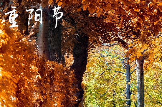 2024年的重阳节是几月几日 重阳节习俗