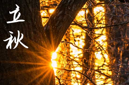 2024年立秋时间 具体是几月几号