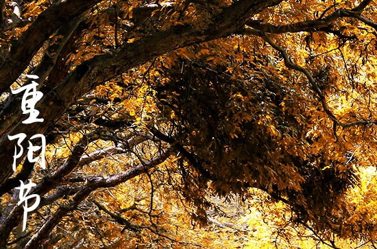 重阳节的发源地 重阳节的起源故事