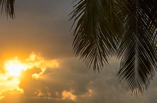 2024一伏是几月几号 2024年第一伏是哪一天