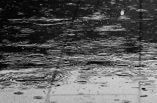 2024年谷雨节气是哪天 具体几月几日几时几分谷雨