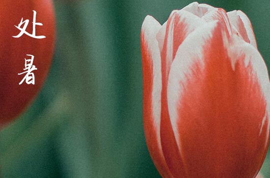 处暑2024年是几月几日星期几 2024年8月22日处暑当天修路好吗 处暑2024年是几月几日星期几 2024年8月22日处暑当天修路好吗