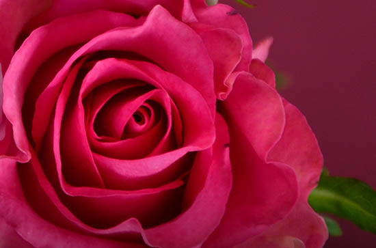 失恋文案扎心治愈心灵文案简短