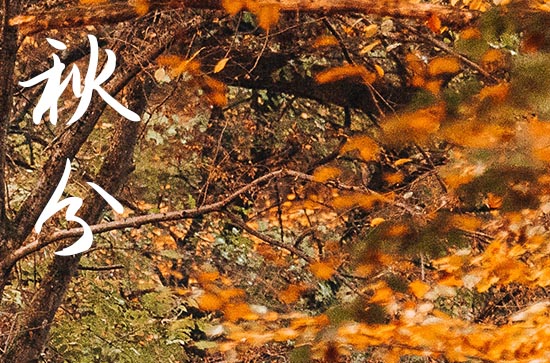 2024年秋分是几月几日 2024秋分买鸭好吗