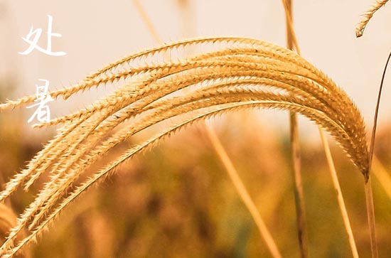 2024年处暑是什么时候 2024年处暑可以认干女儿吗