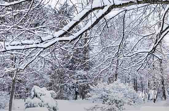 漠河今日天气小雪转中雪 2024年10月20日漠河天气预报