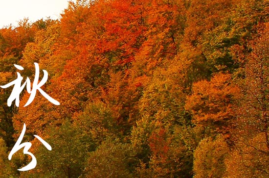 秋分2024年是几月几日星期几 2024秋分出货财好吗