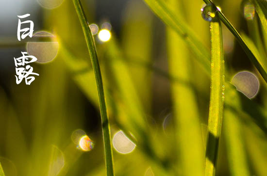 2024年白露是什么时候 2024年白露能安装家电吗