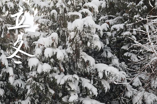 2024年立冬农历时间 2024年立冬是求婚的好日子吗