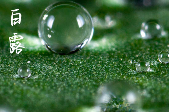 2024年白露时间是什么时候 今天日子好不好