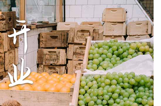 2024属牛农历九月开张吉日一览表 2024农历九月属牛开张吉日