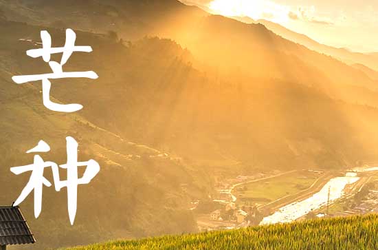 2023芒种美好寓意是什么 芒种寓意代表什么意思