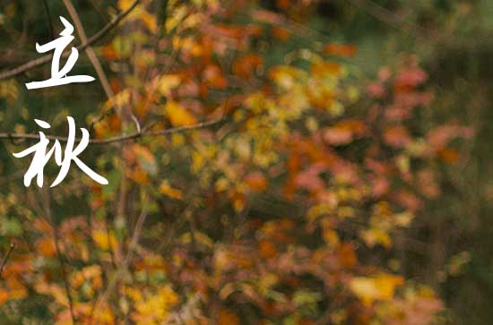 立秋是几月几号2024年 今天日子好不好