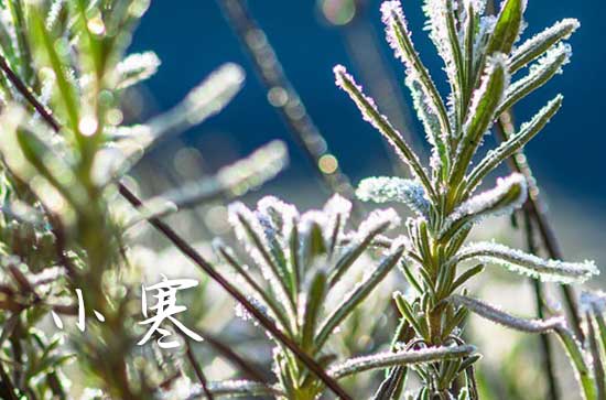 2024今日小寒藏头诗 2024关于小寒节气的藏头诗