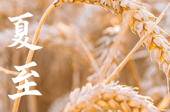夏至太阳直射点向哪移动 夏至后太阳继续向北吗