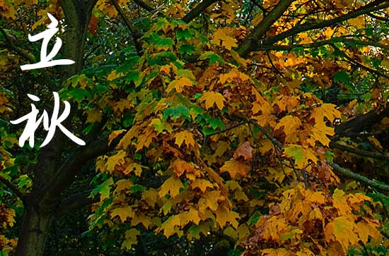 几点立秋2024年早秋还是晚秋